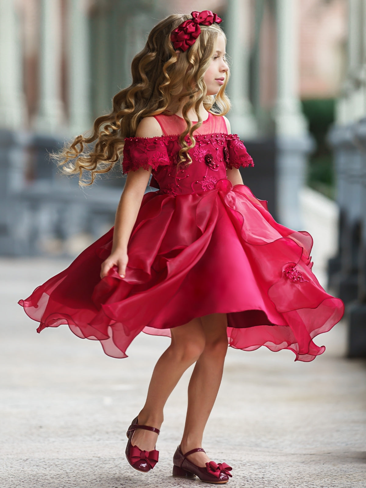 Princess Fancy Girls Gown/Dresses