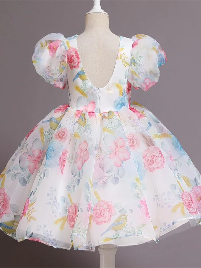 Spring Flower Girl Dresses | Puff Sleeve Floral Pleated Party Dress