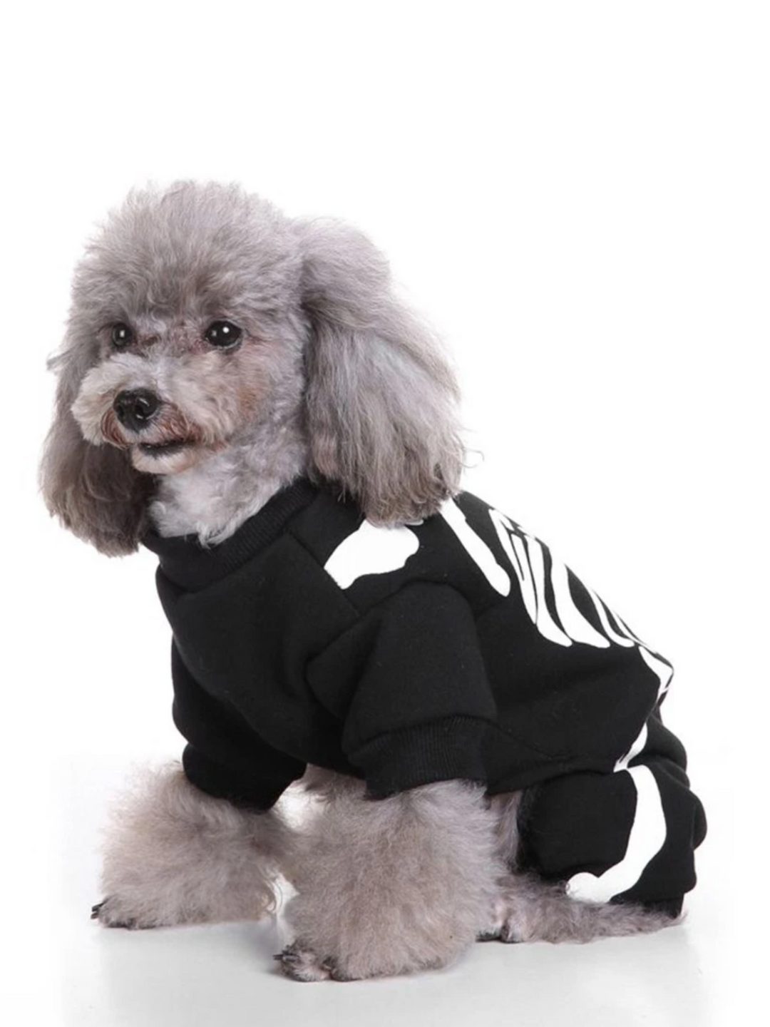 Dog Spooky Skeleton Halloween Costume