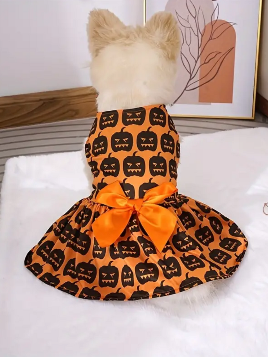 Dog Spooky Pumpkin Skull Halloween Costume