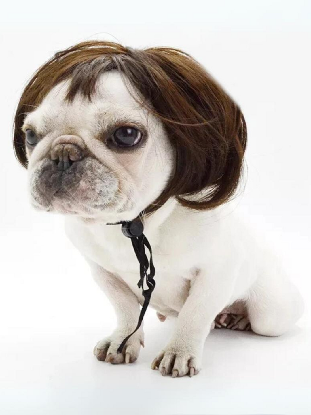 Dog Hilarious Wig For Halloween