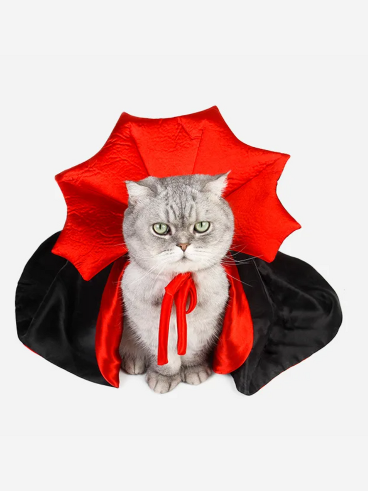 Halloween Vampire Cloak for Small Dogs and Cats