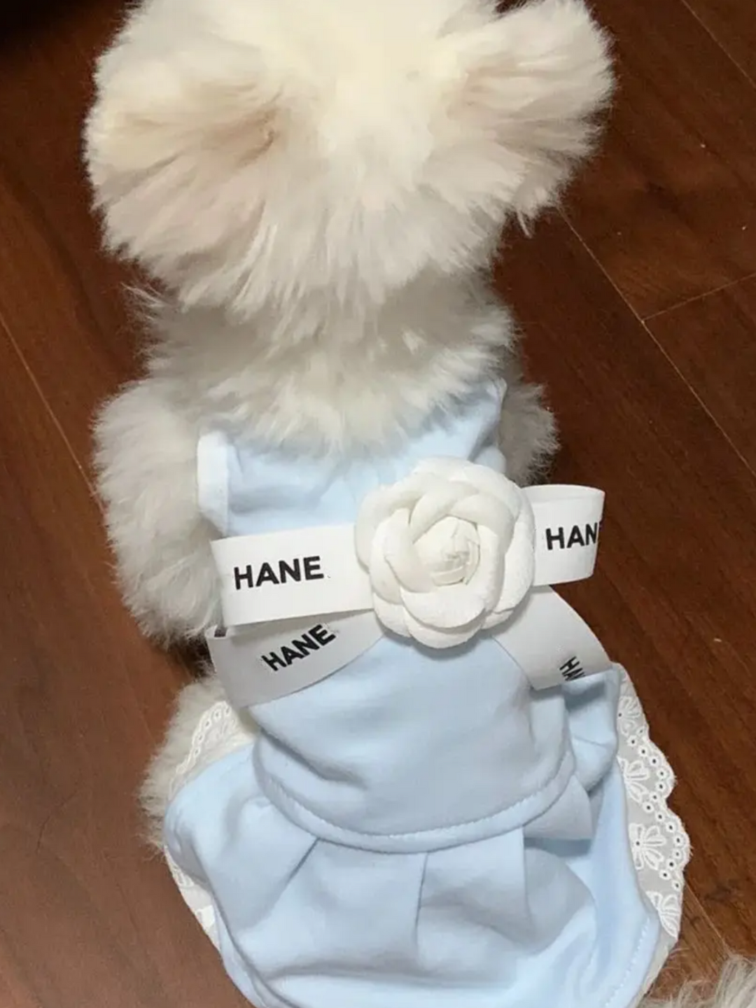 Elegant White Camellia Flower Dog Dress