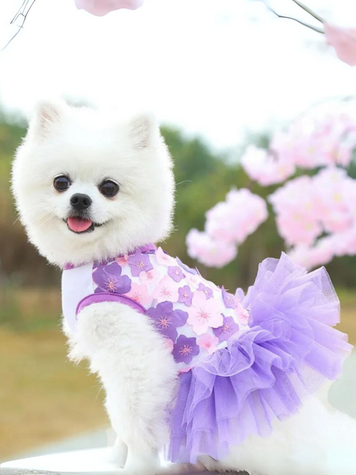 Lovely Floral Lace Chiffon Dog Summer Dress