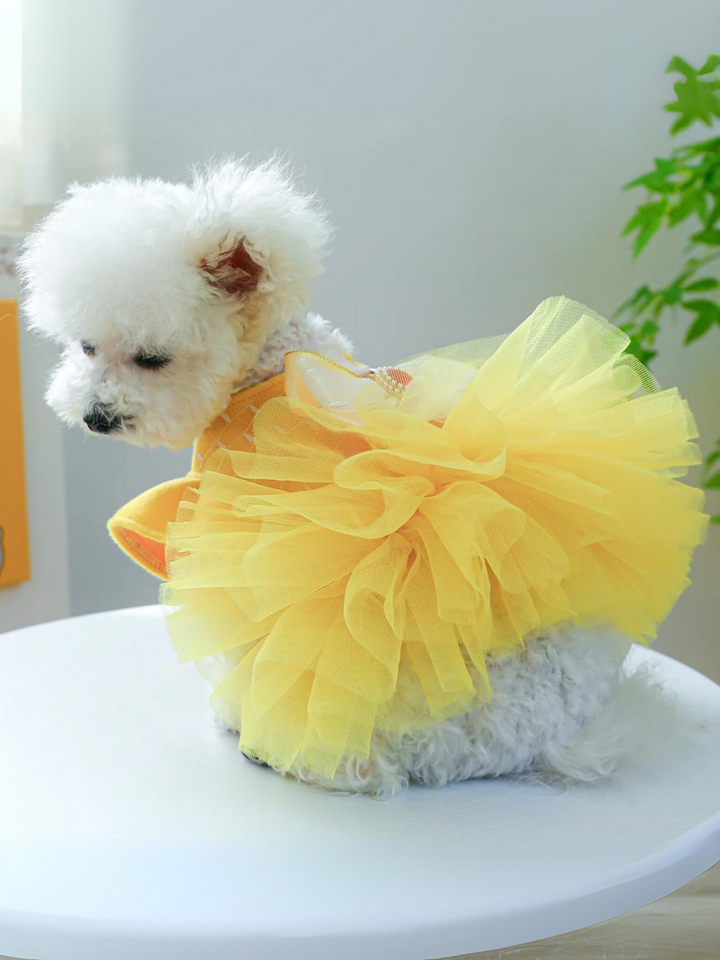 Dog Beauty Tutu Halloween Costume