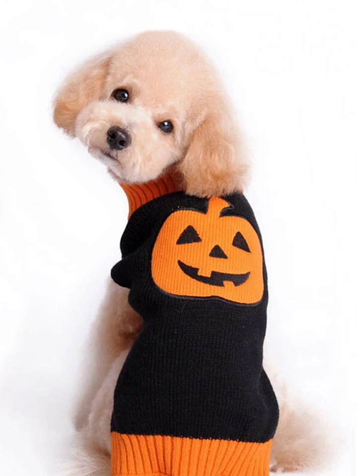 Dog Skull & Pumpkin Halloween Sweater Costume