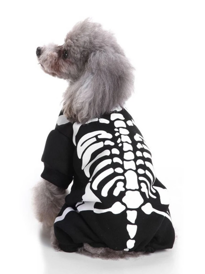 Dog Spooky Skeleton Halloween Costume