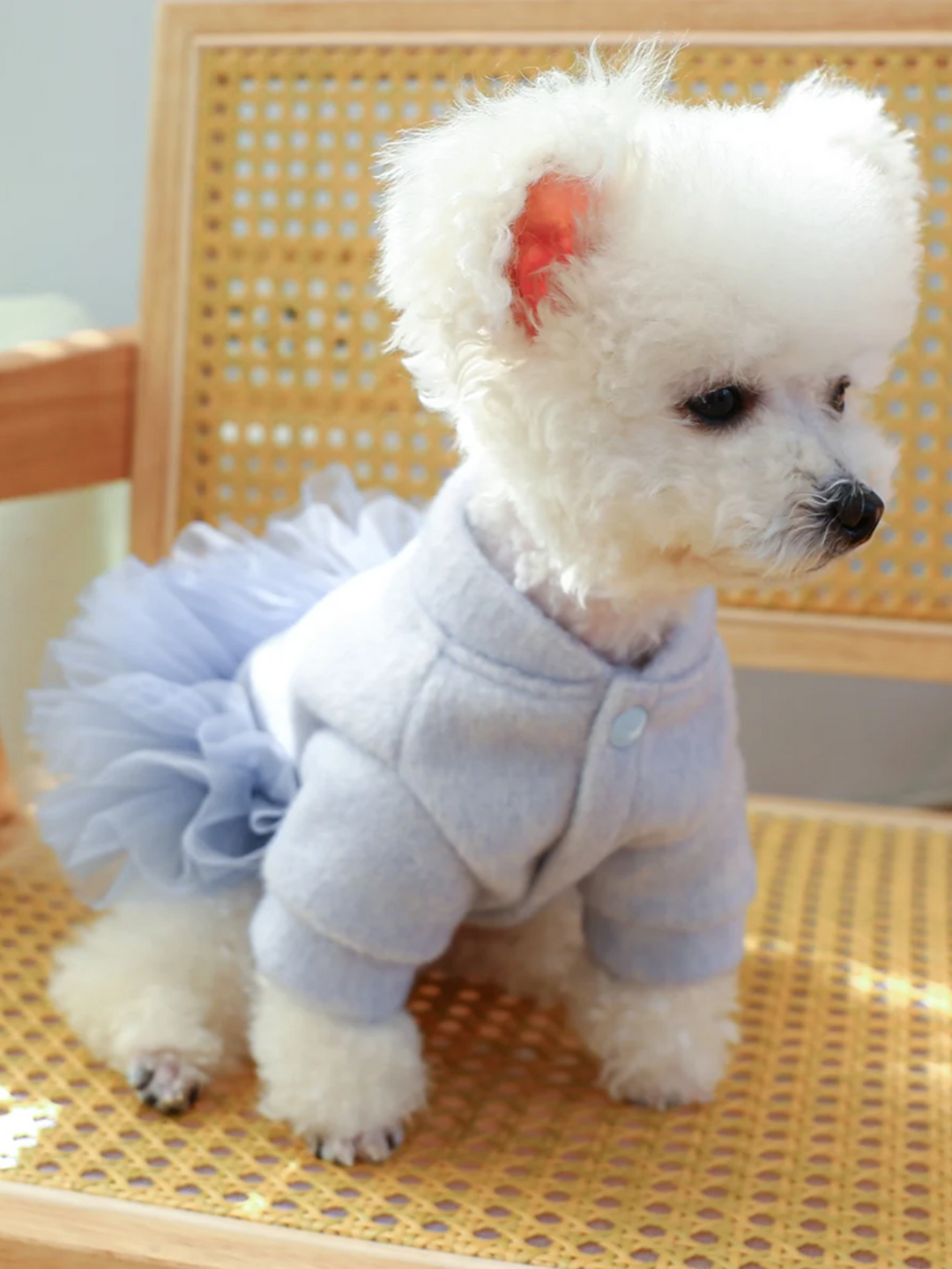 Elegant Princess Dog Tutu Dress Drawstring Buckle