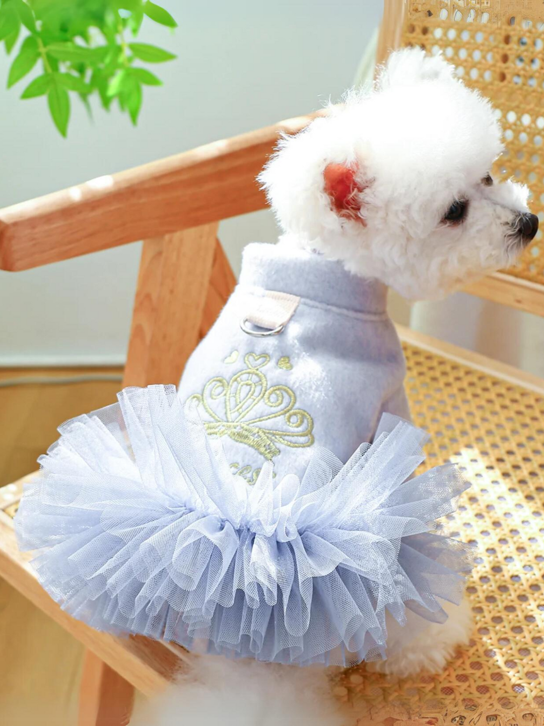 Elegant Princess Dog Tutu Dress Drawstring Buckle