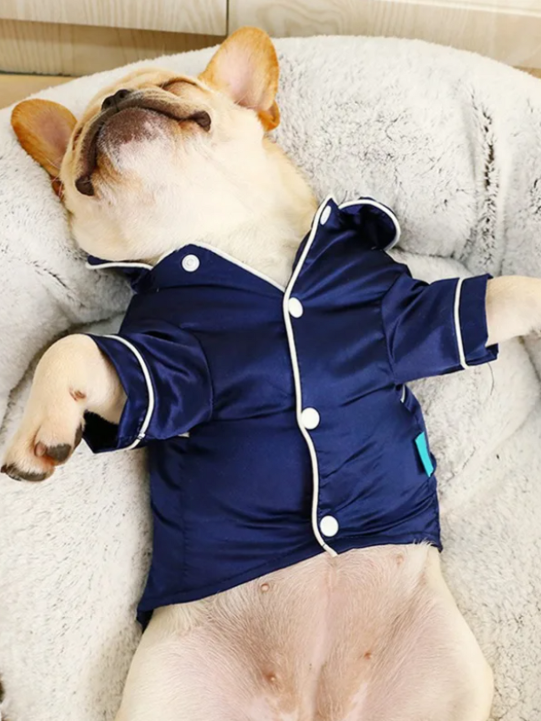 Luxury Soft Silky Dog Pajama