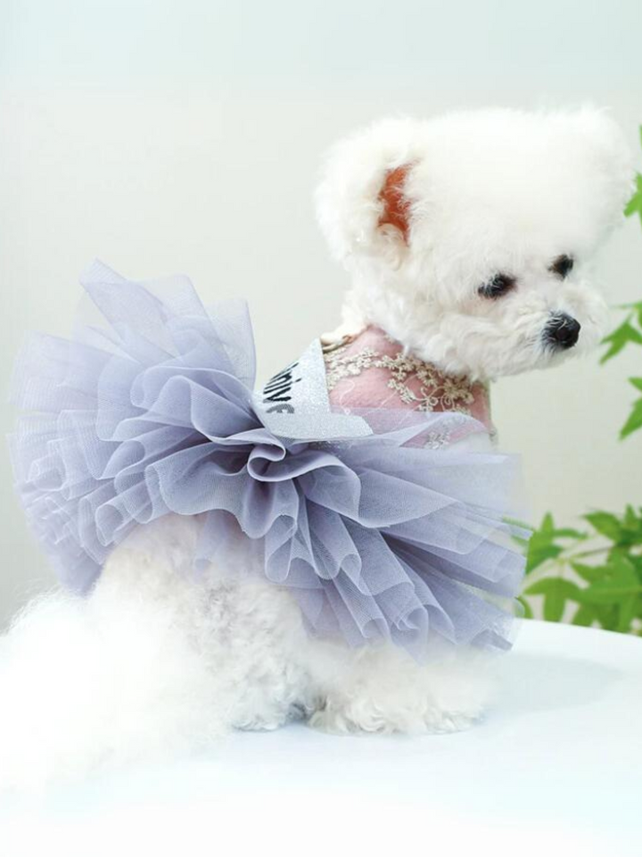 Miss Universe Tutu Skirt Dress for Dogs