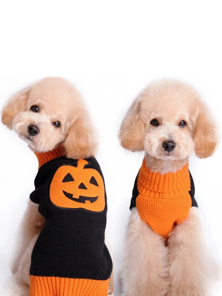 Dog Skull & Pumpkin Halloween Sweater Costume