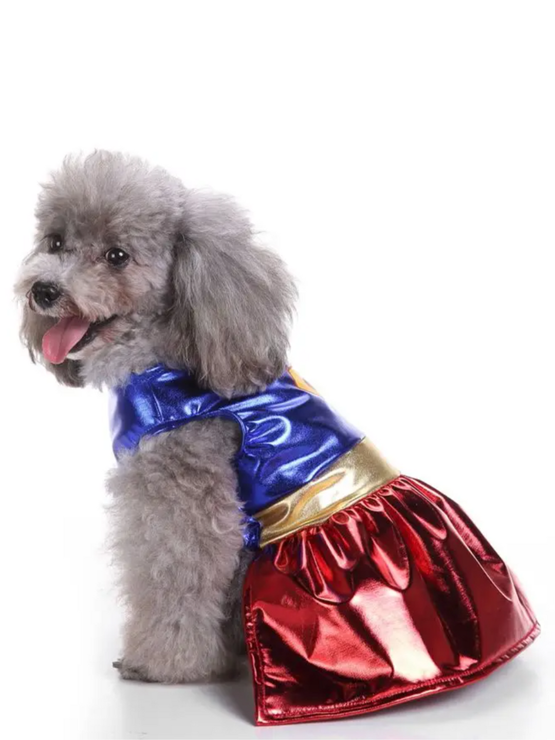 Superpaw Super Dog Halloween Costume