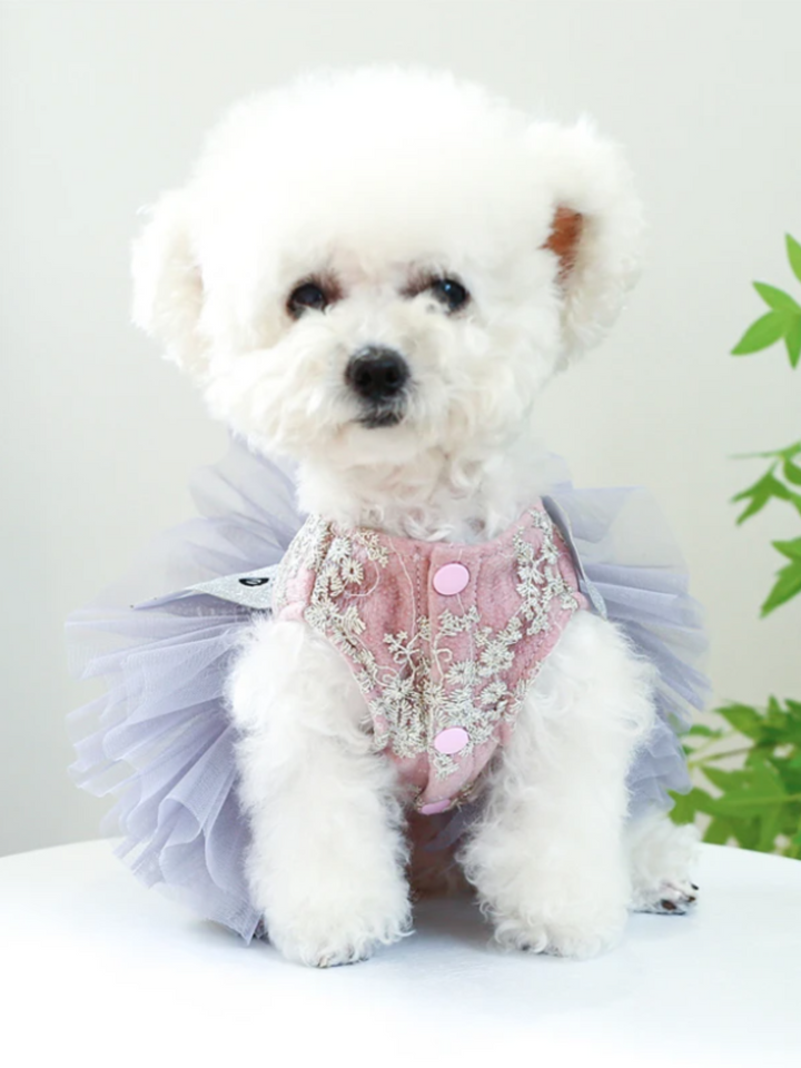 Miss Universe Tutu Skirt Dress for Dogs