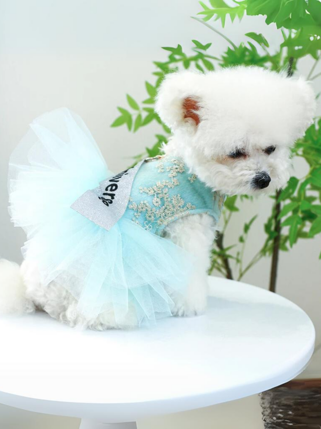 Miss Universe Tutu Skirt Dress for Dogs