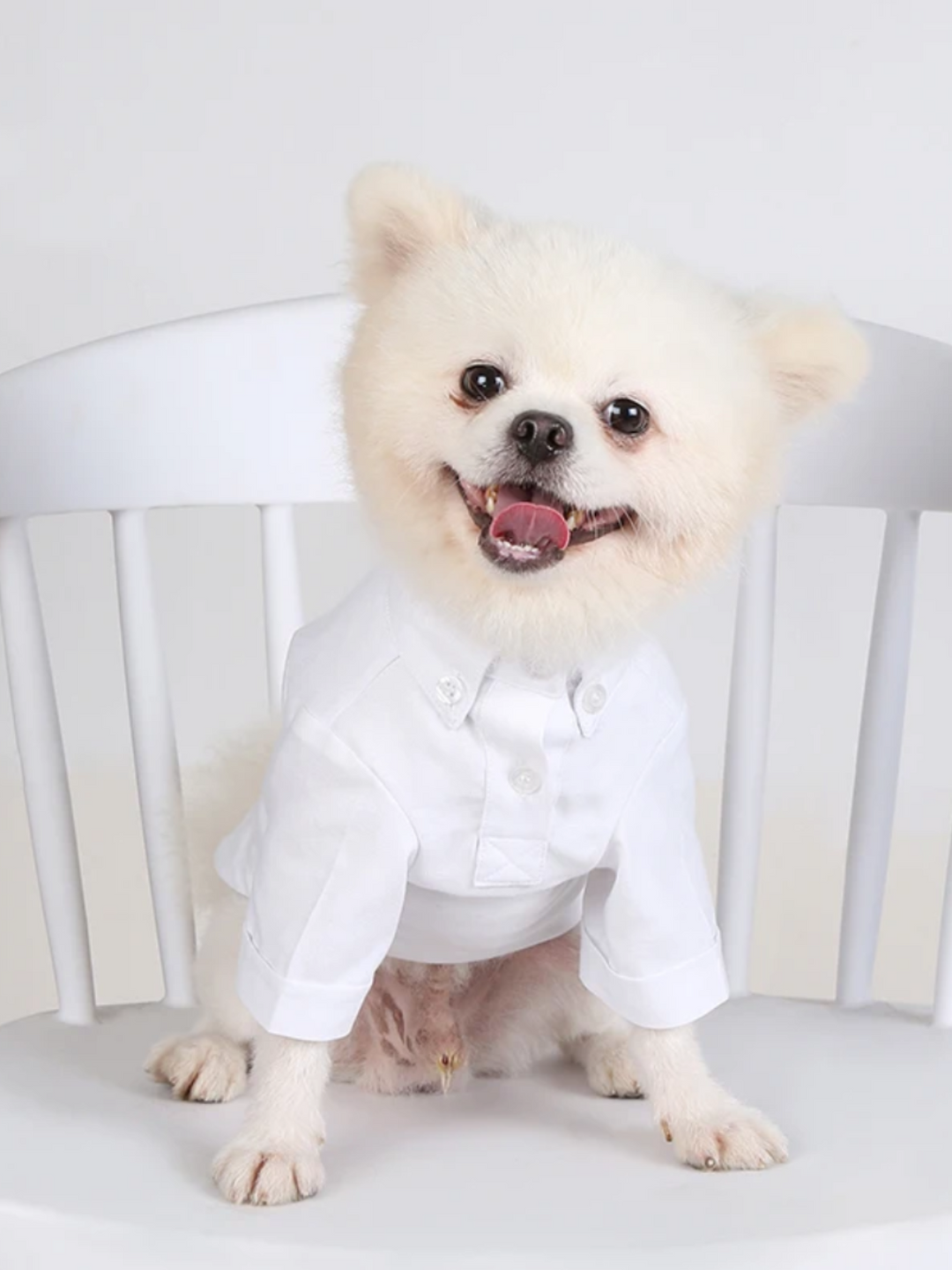 Dog Stylish White Button-Up Shirt