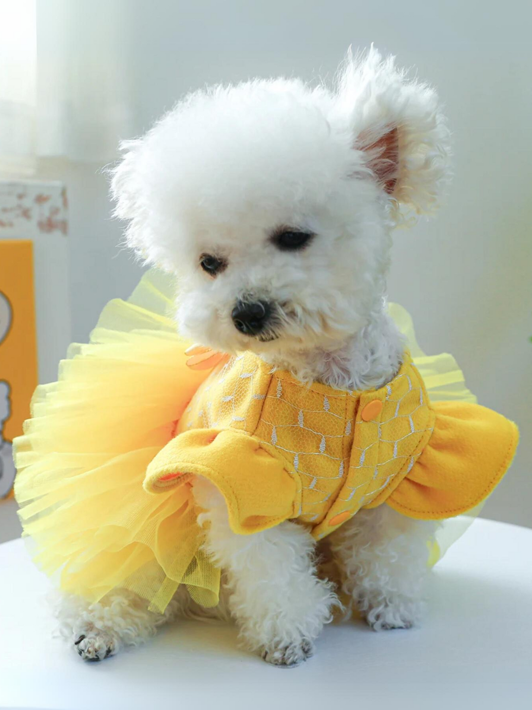 Dog Beauty Tutu Halloween Costume