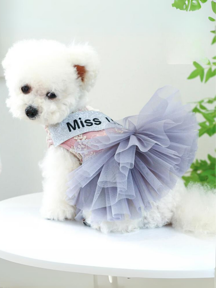 Miss Universe Tutu Skirt Dress for Dogs