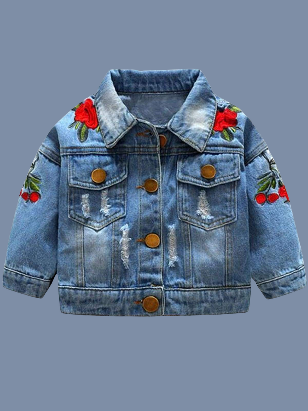 Girls Distressed Denim Jacket with Rose Embroidery - Denim / 2T - Girls Jacket