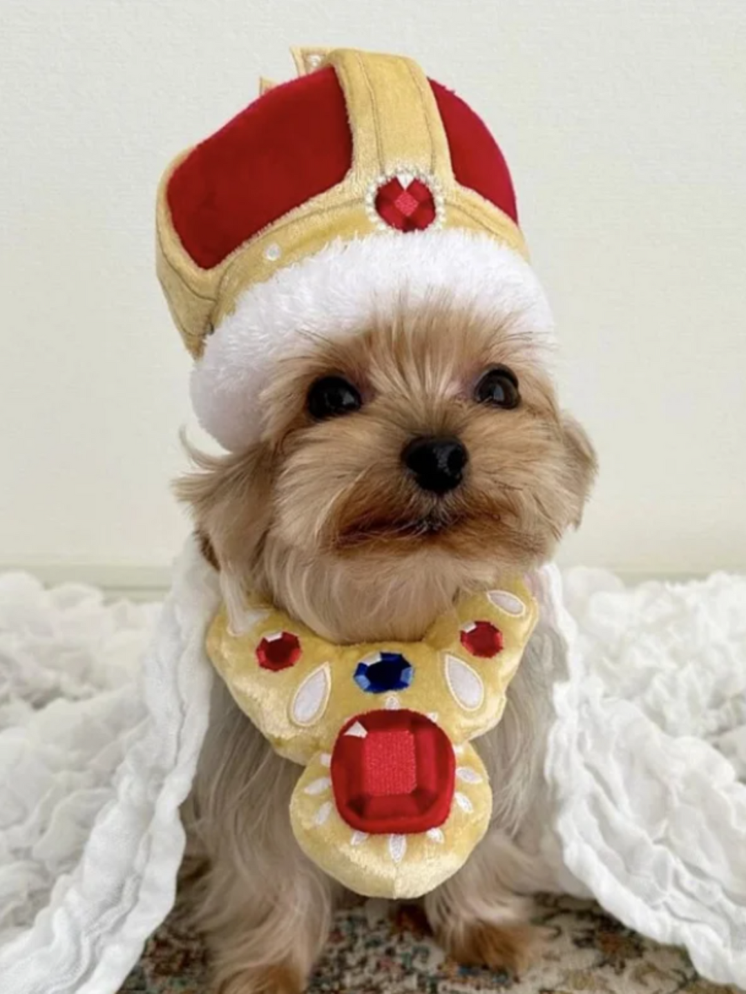 Majestic King Crown and Necklace Pet Halloween Costume