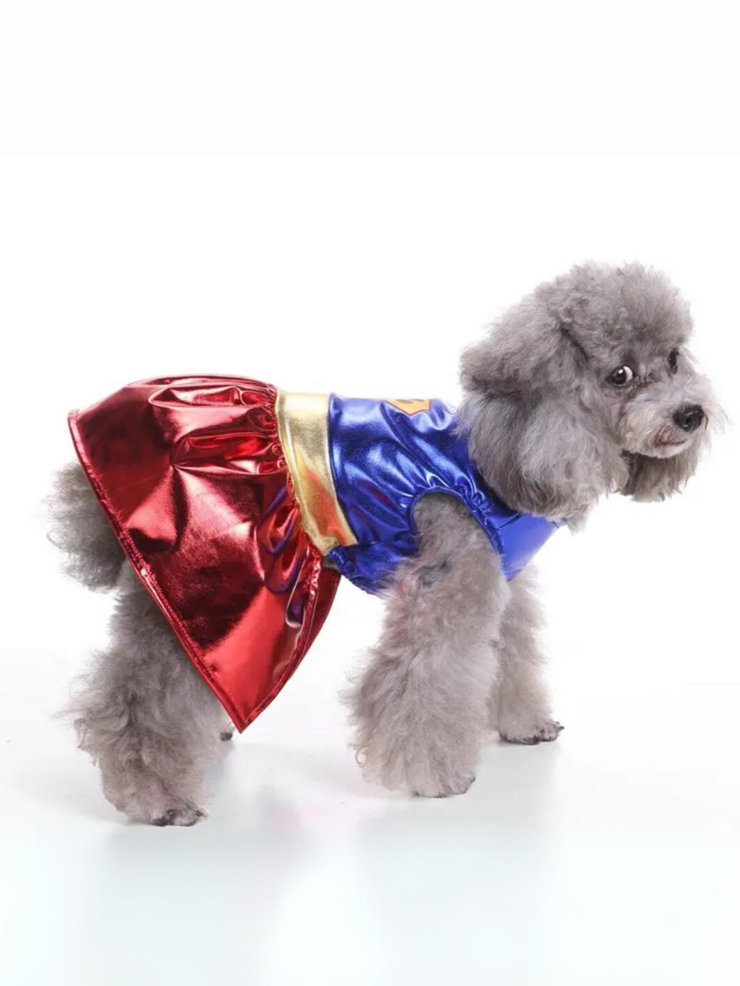 Superpaw Super Dog Halloween Costume