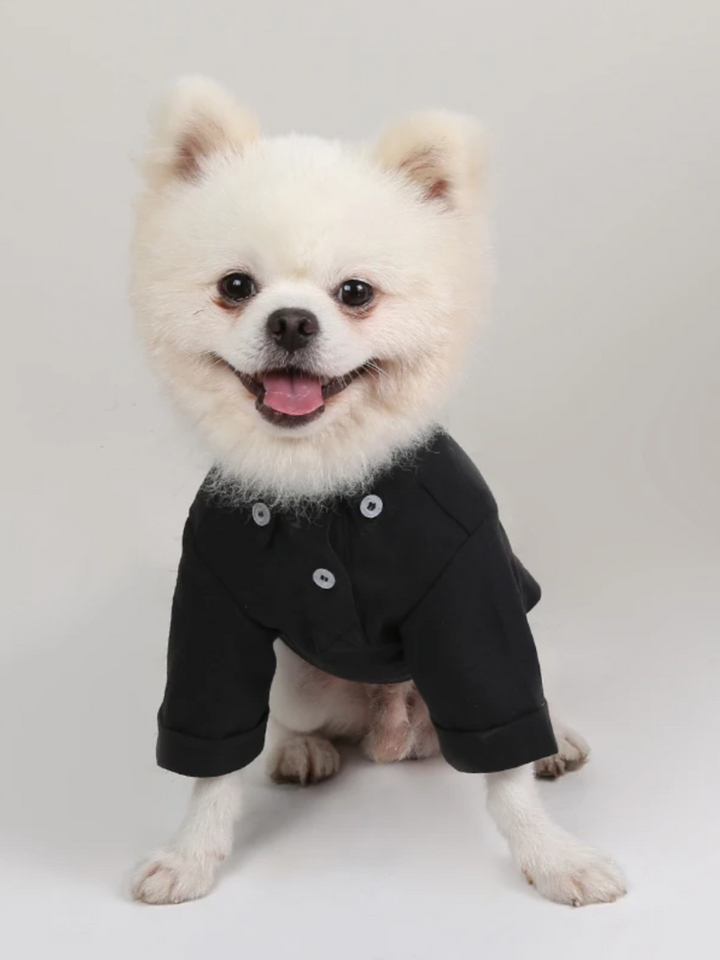 Dog Stylish White Button-Up Shirt