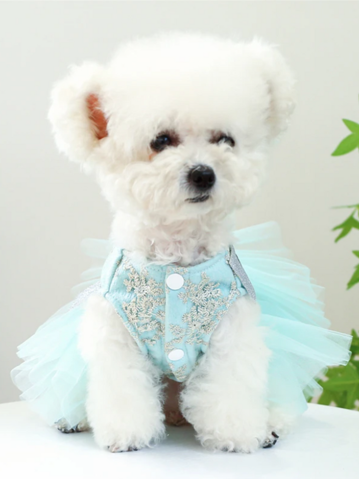 Miss Universe Tutu Skirt Dress for Dogs