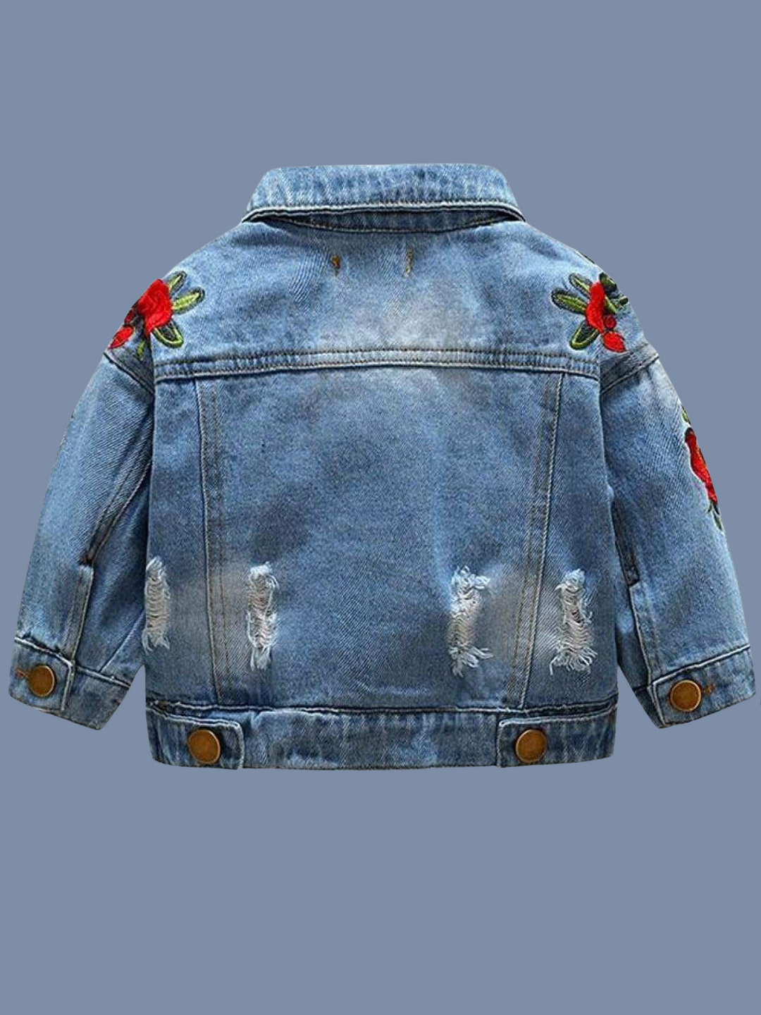 Girls Distressed Denim Jacket with Rose Embroidery - Denim / 2T - Girls Jacket