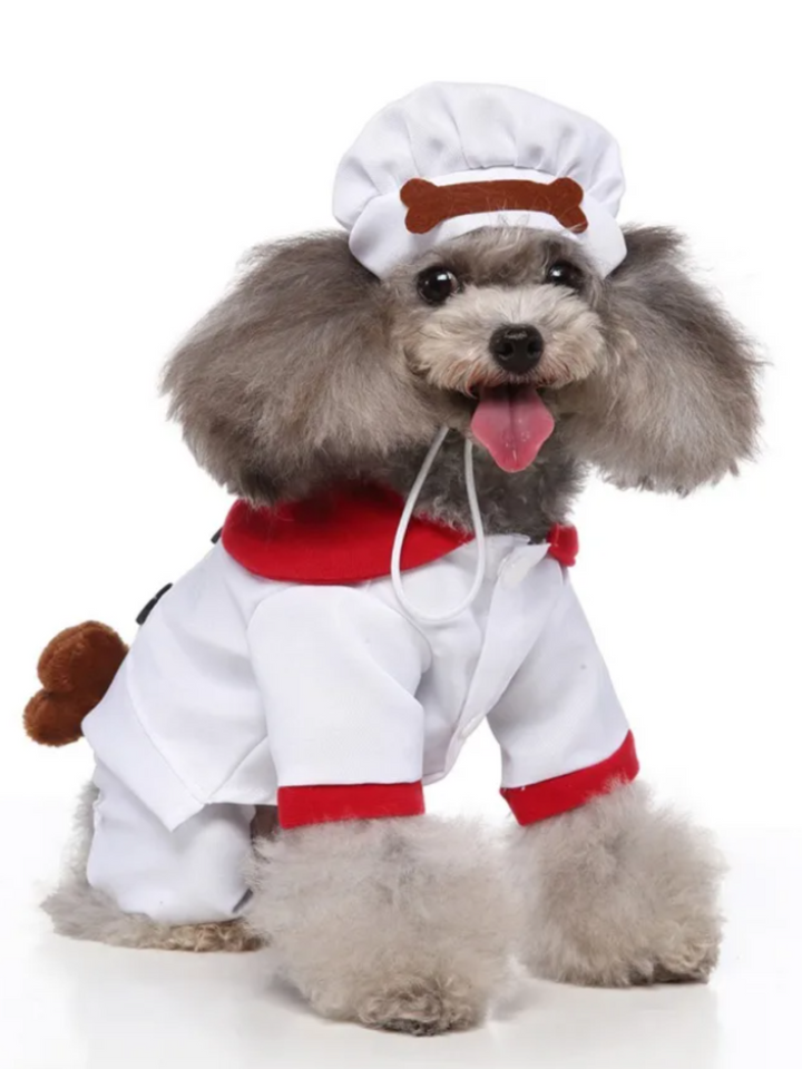 Dog Pawsitively Adorable Chef Halloween Costume