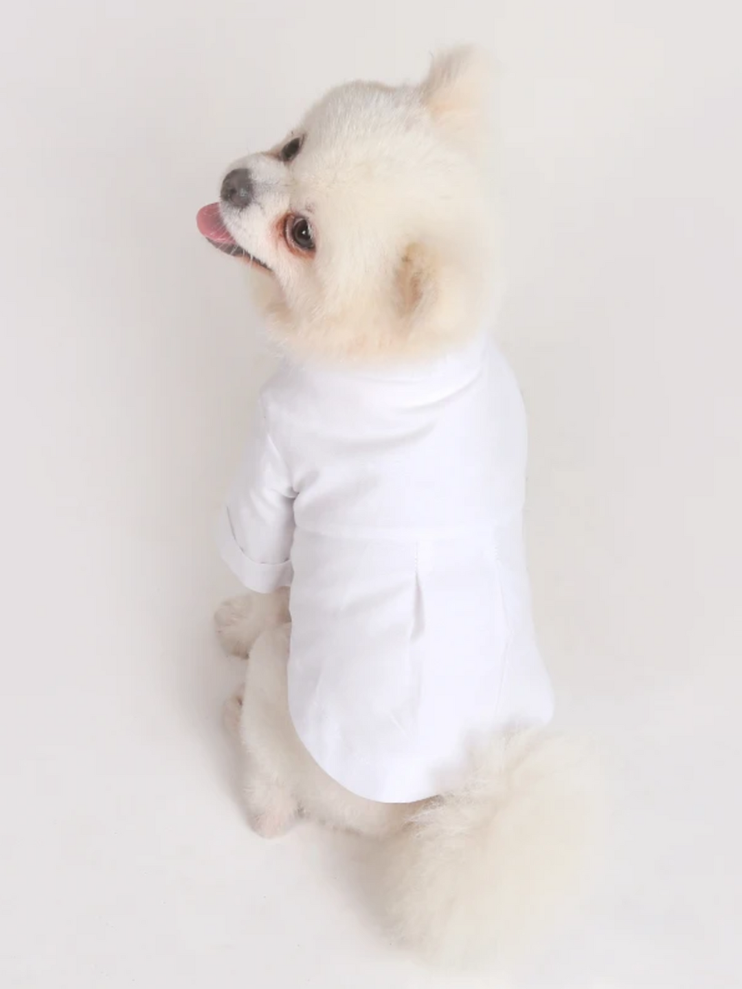 Dog Stylish White Button-Up Shirt