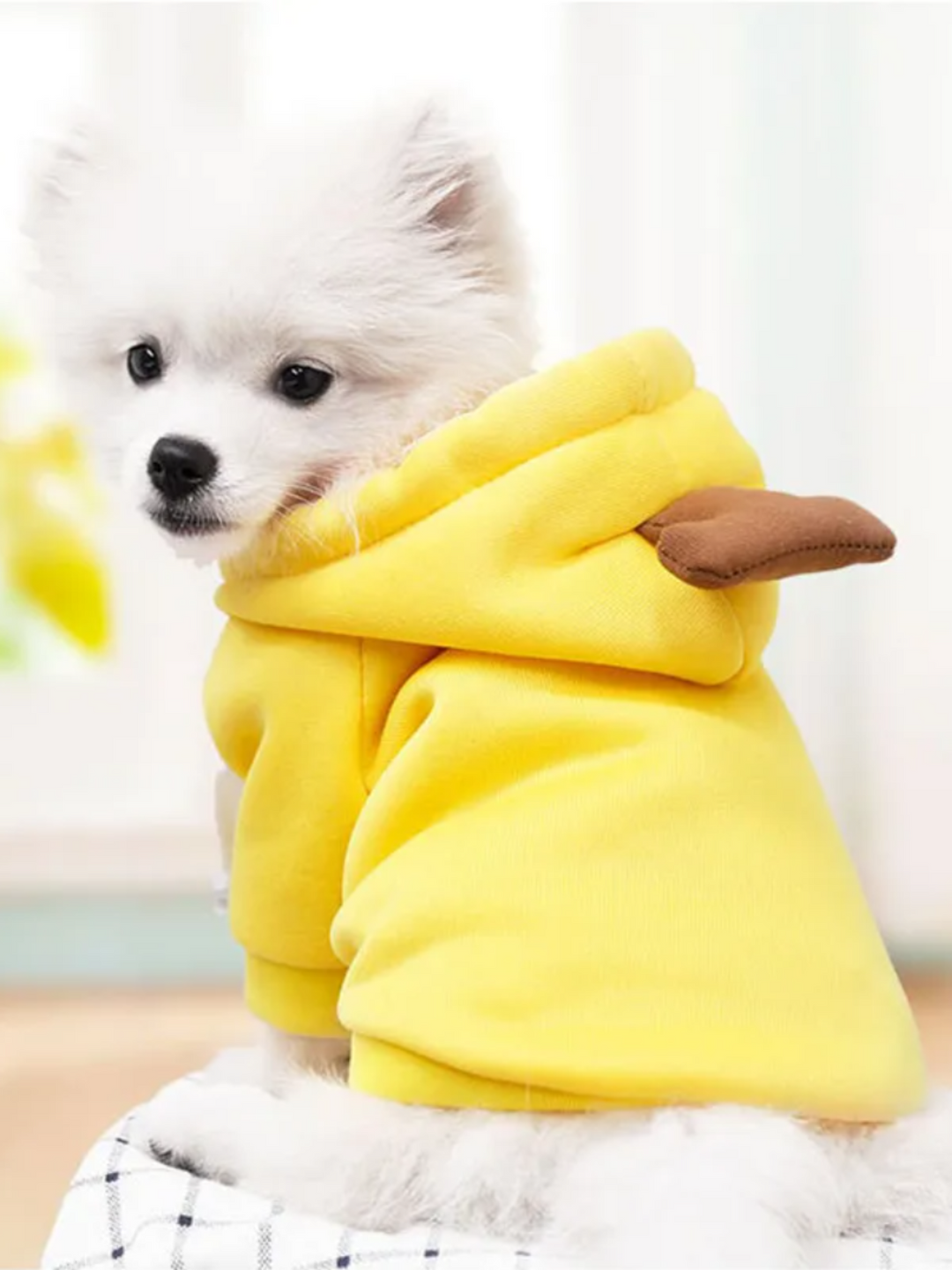 Adorable Banana Dog Halloween Costume