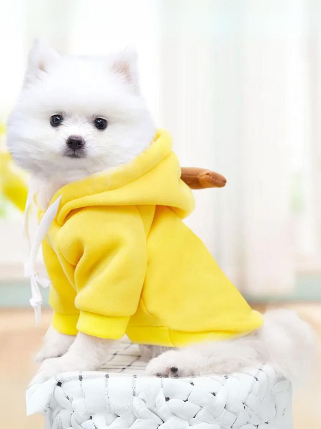 Adorable Banana Dog Halloween Costume