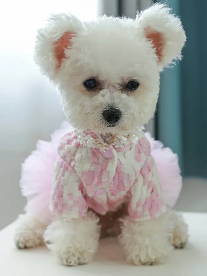 Tutu Star Luxury Dog Dress