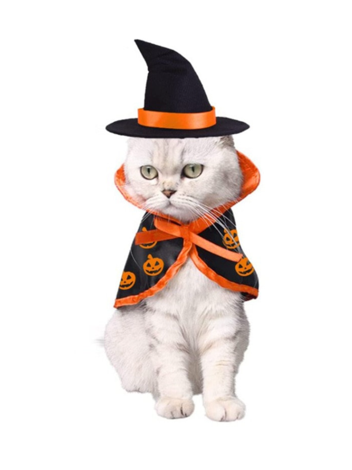 Pets Charming Witch Cloak and Hat Halloween Costume – Mia Belle Girls