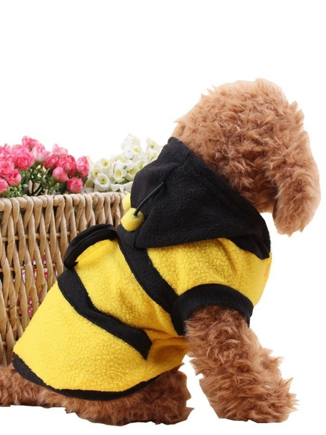 Dog Bee Cute  Halloween Costume