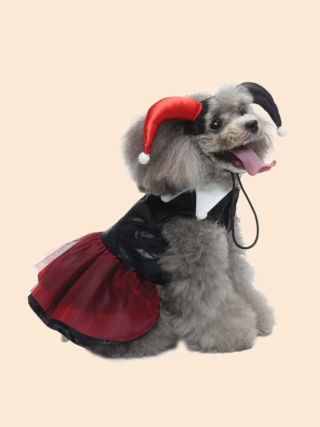 Dog Adorable  Magician Halloween Costume