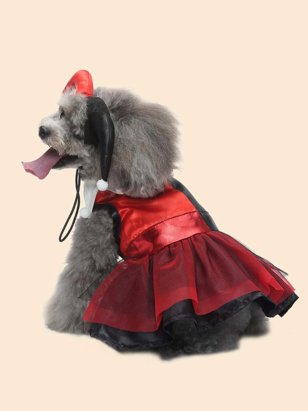 Dog Adorable  Magician Halloween Costume