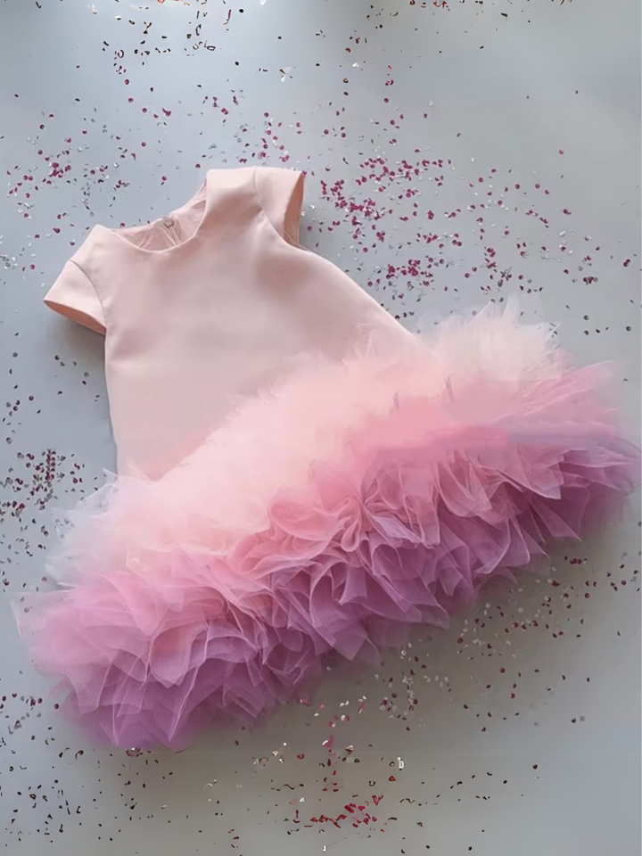 Pink Tulle Ombre Party Dress with Ruffle Skirt