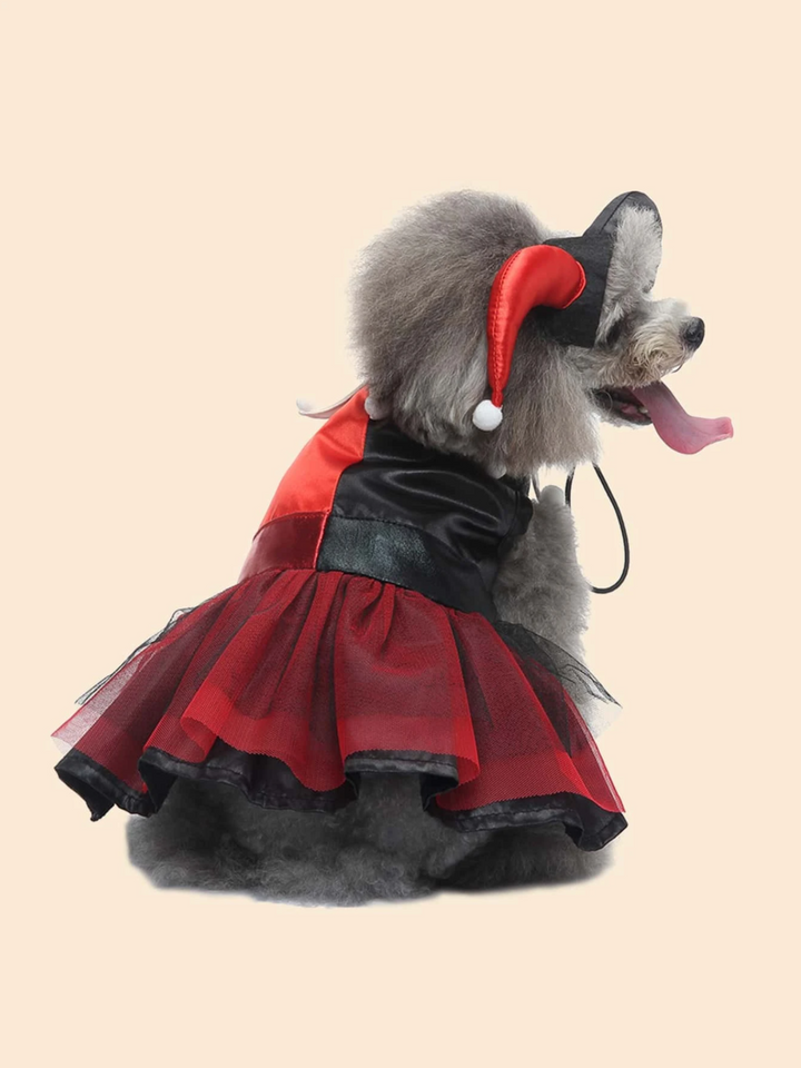 Dog Adorable  Magician Halloween Costume