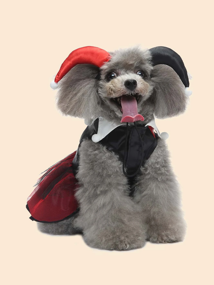 Dog Adorable  Magician Halloween Costume