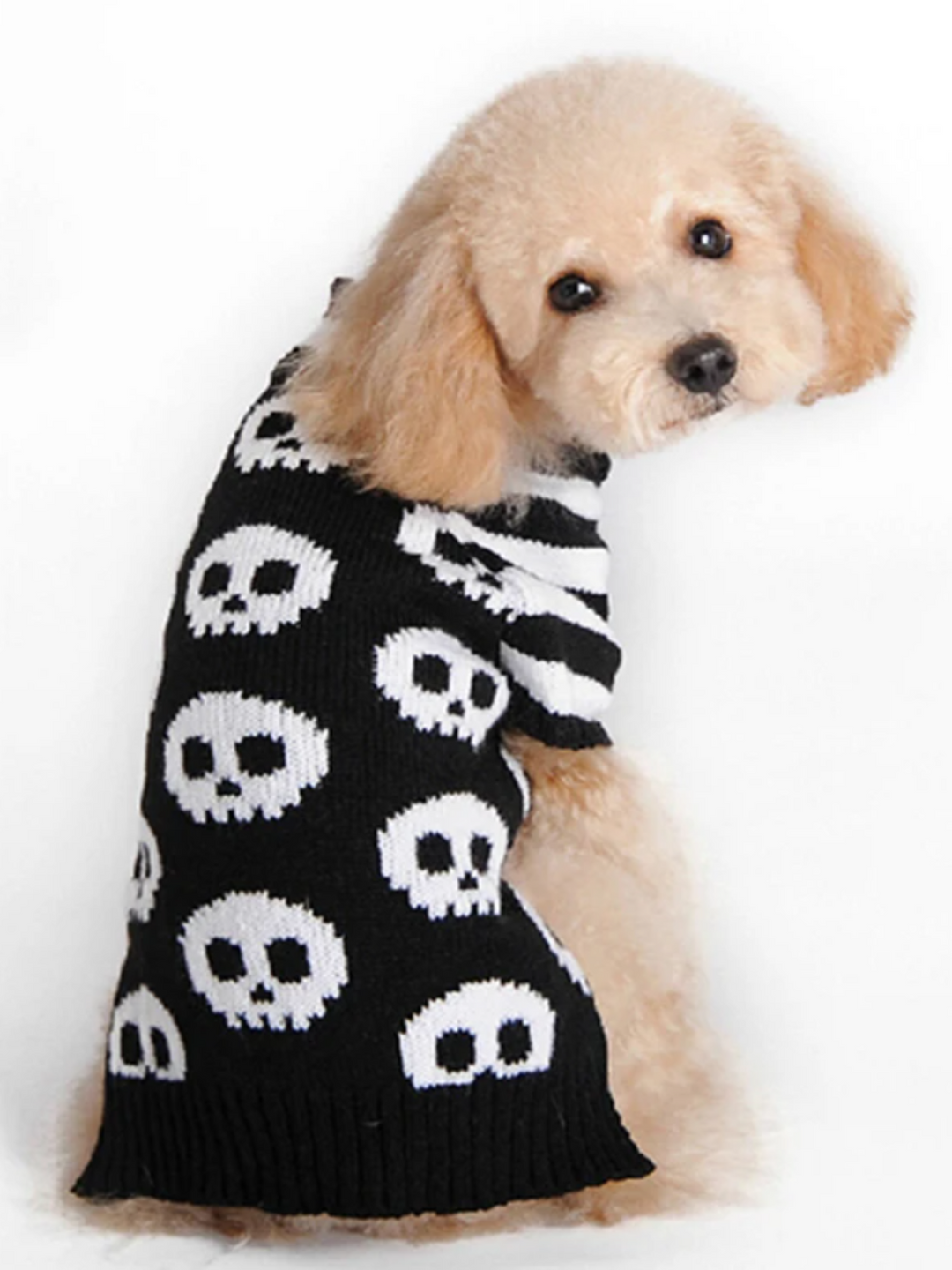 Dog Skull & Pumpkin Halloween Sweater Costume