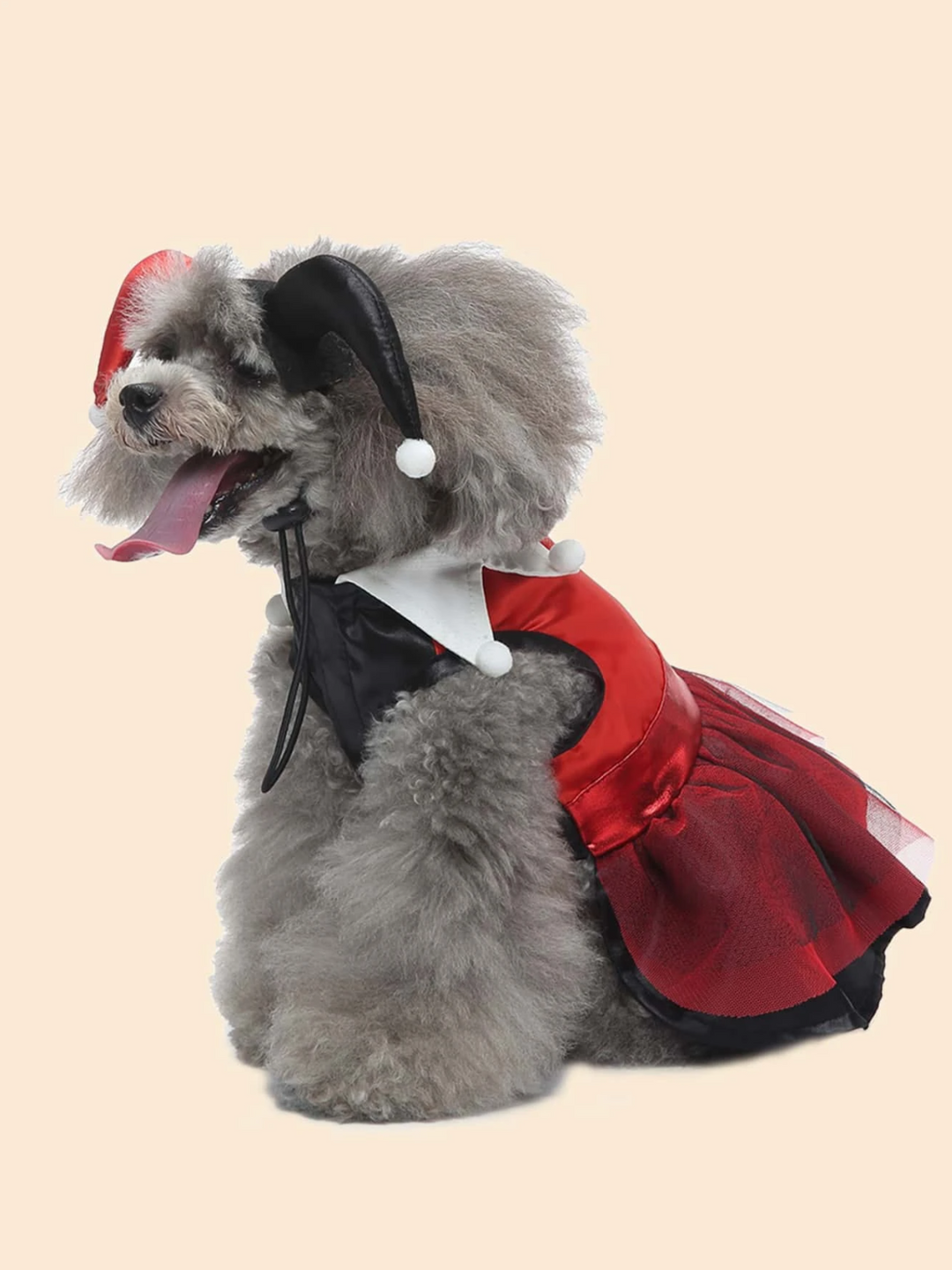 Dog Adorable  Magician Halloween Costume