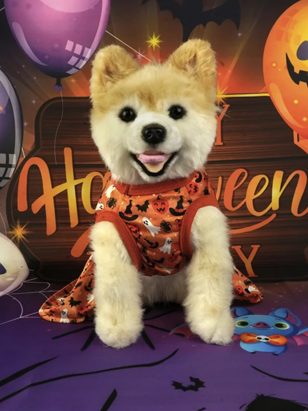 Dog Spooky Pumpkin Halloween Costume