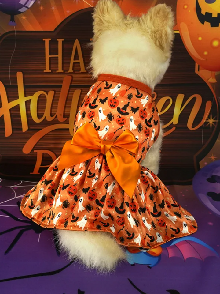 Dog Spooky Pumpkin Halloween Costume