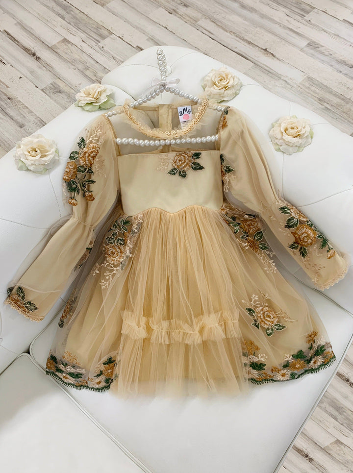 Little Girls Flower Embroidered Lace Dress | Toddler Spring Dresses