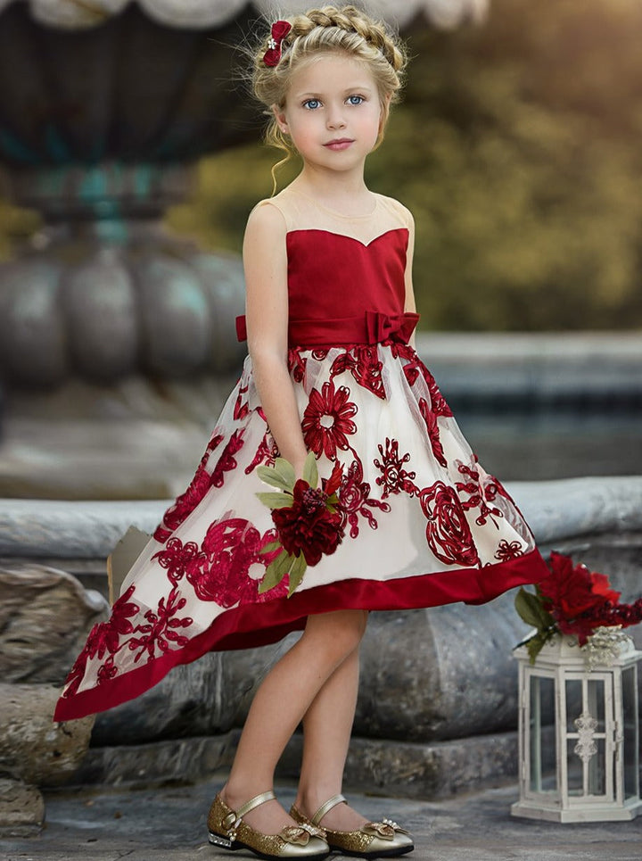 Winter Formal Wear | Girls Sheer Collar Chiffon Hi-Lo Holiday Dress