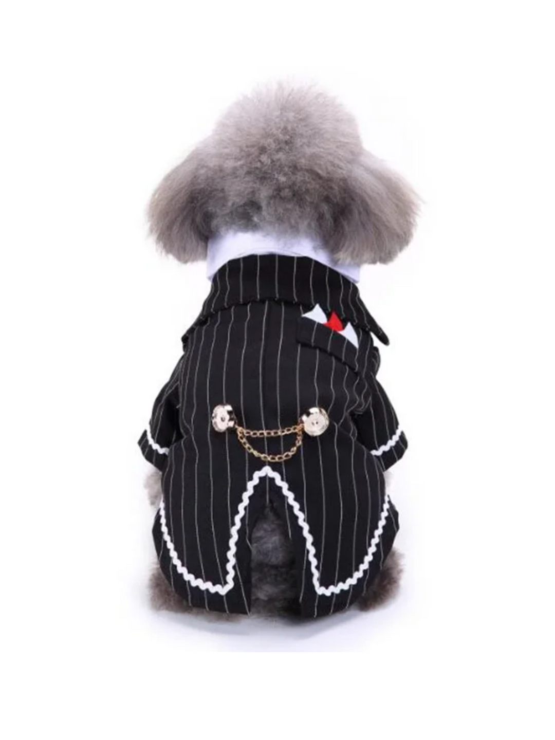 Striped Dog Tuxedo Bow Tie Gentleman Halloween Costume