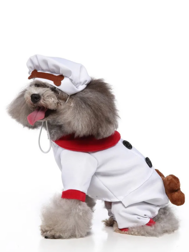 Dog Pawsitively Adorable Chef Halloween Costume