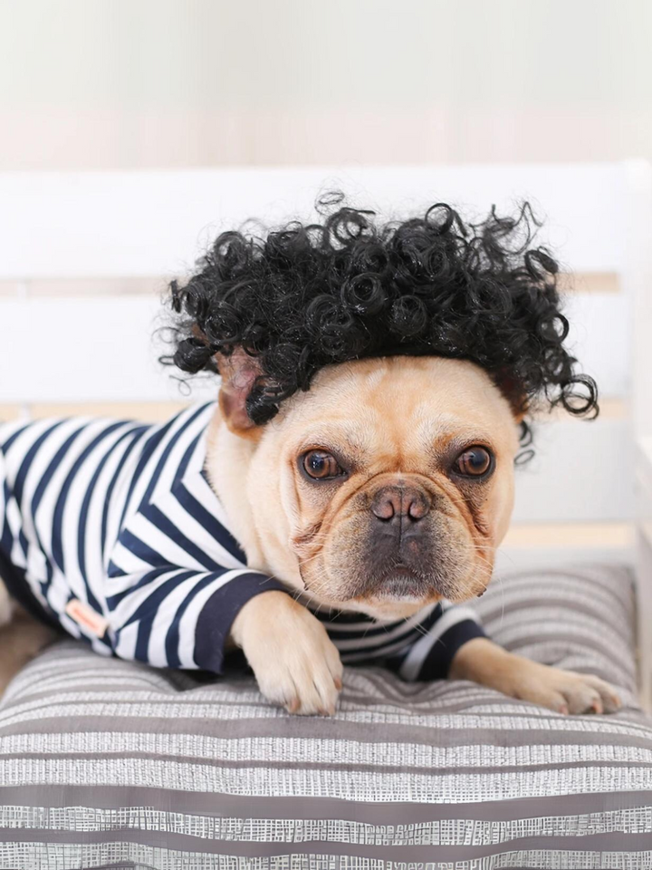 Dog Hilarious Wig For Halloween