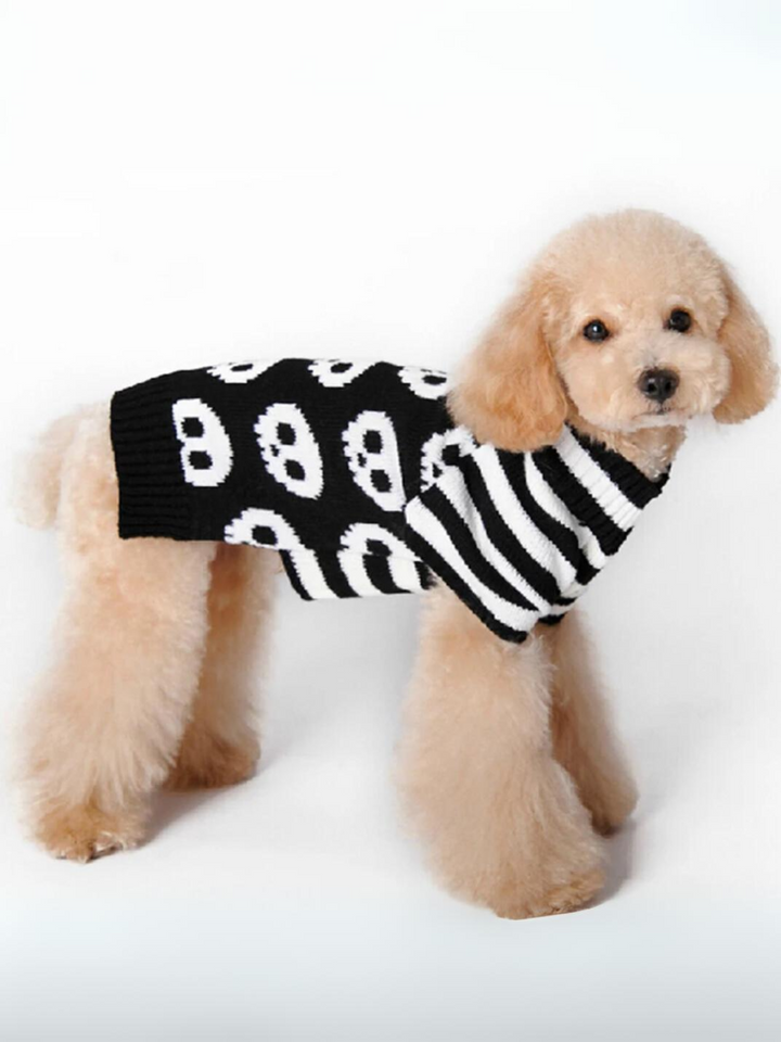 Dog Skull & Pumpkin Halloween Sweater Costume